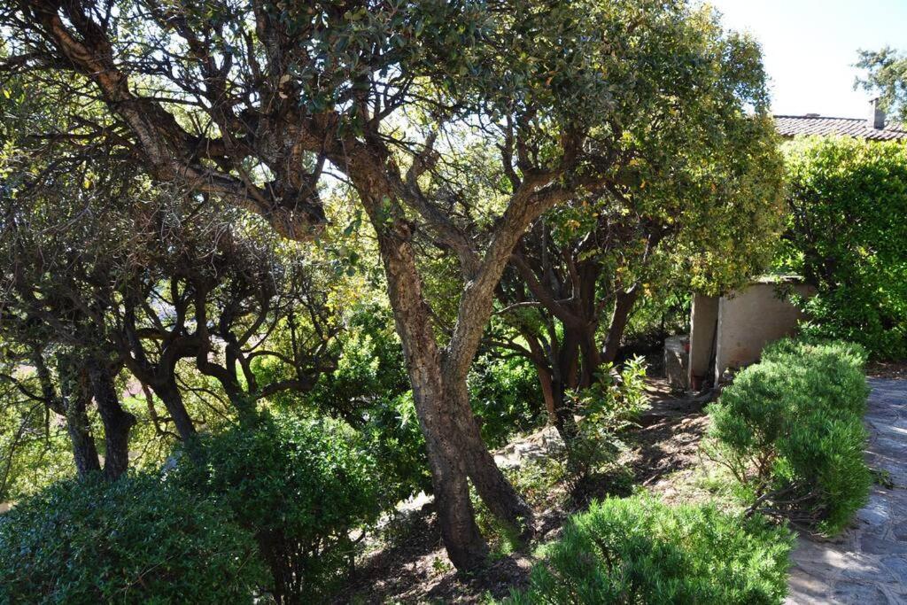 Villa Abeille : Douces Vacances D'Ete Avec Vue Mer Cavalaire-sur-Mer Exterior photo
